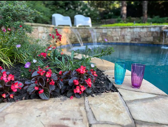 cups by the pool